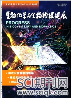 生物化学与生物物理进展