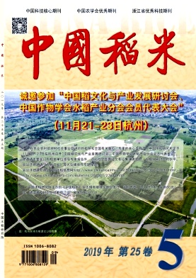 中国稻米