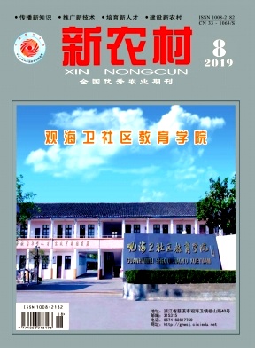 新农村