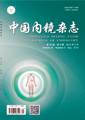 中国内镜