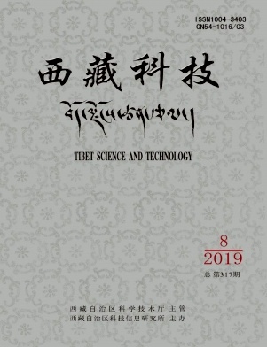 西藏科技