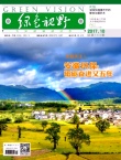 绿色视野