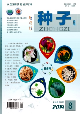 种子