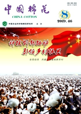 中国棉花