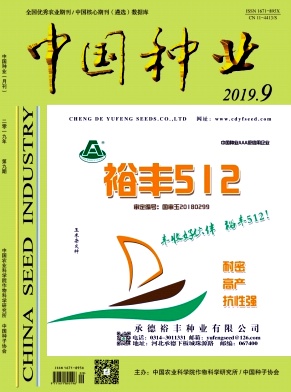中国种业
