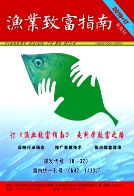 渔业致富指南