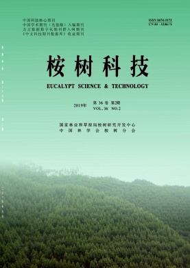 桉树科技