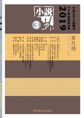 小说林