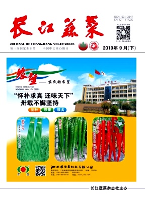长江蔬菜