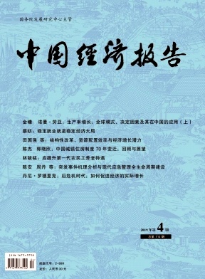 中国经济报告