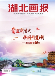 湖北画报