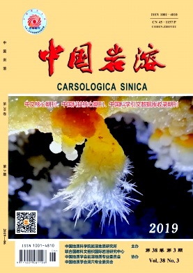 中国岩溶
